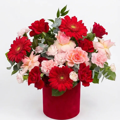 Red gerbera daisies and pink spray roses in a deep red velvet round hat box — Red Velvet Romance Box by Florent Floral Newmarket