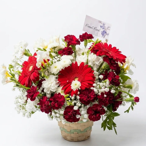 Red gerbera and carnation basket arrangement for Mother's Day delivery in Newmarket Ontario