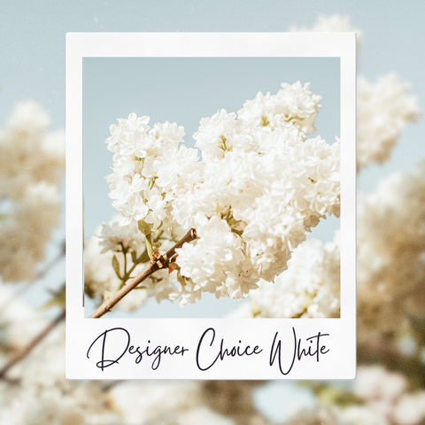 All White - Designer Choice