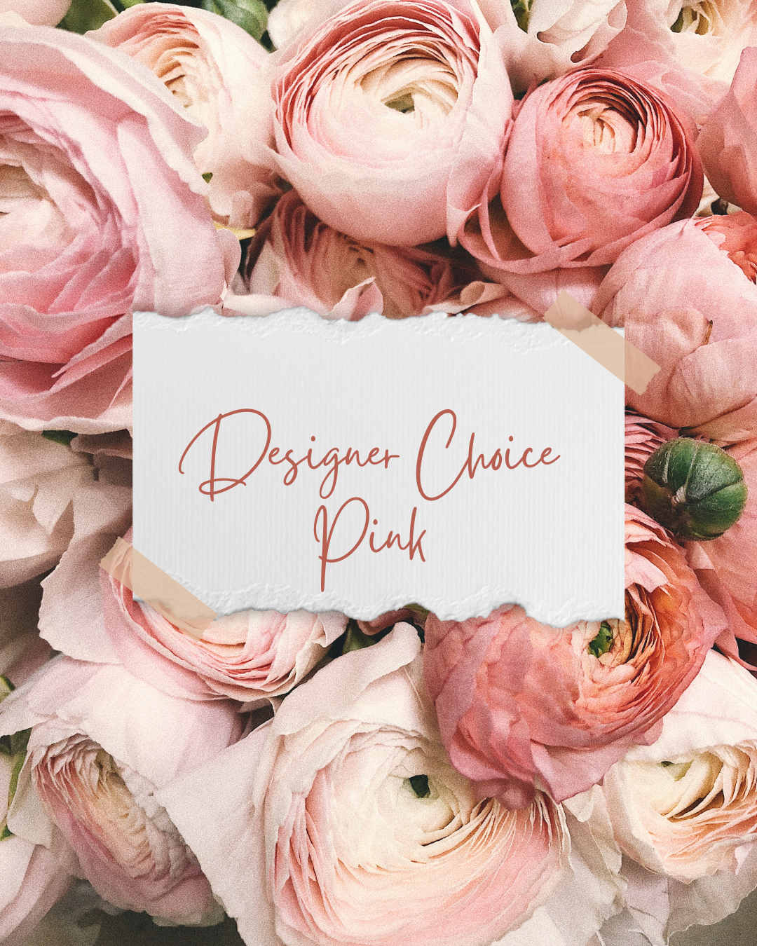 Pink Designer Choice