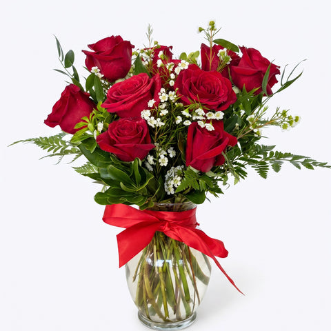Classic Red Roses