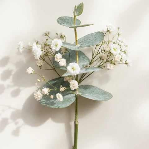 Eucalyptus Boutonniere by Florent Floral with silver dollar eucalyptus with baby’s breath for prom in Newmarket.