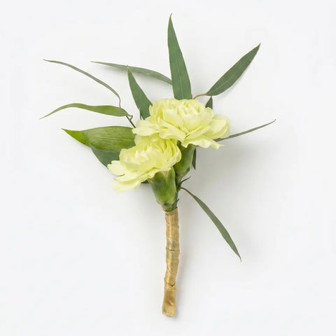 Pale Yellow Carnation Boutonniere by Florent Floral with a pale yellow carnation with slim greenery for prom in Newmarket.