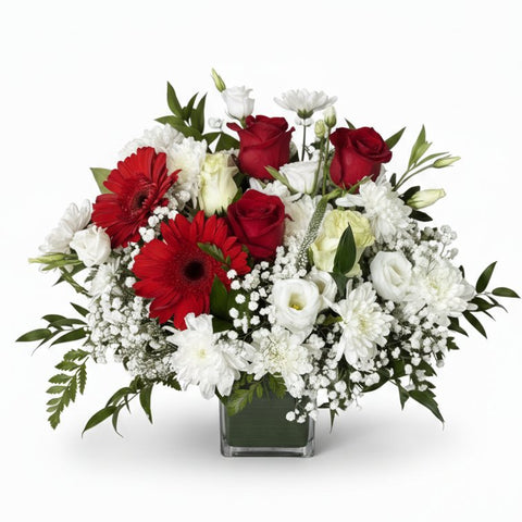 Classic Red & White - Florent Floral